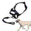 Colliers pour chiens, muselière Anti-morsure, ensemble buccal en maille plastique, masque en cuir, petite couverture appelée, fournitures pour animaux de compagnie