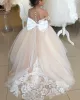 Light Champagne Flower Girls Dresses Long Sleeve Lace Applique Bow Sheer Neck Pageant Dress Custom Made Communion Gowns 0124