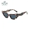 Sunglasses D&T 2024 Fashion Cat Eye Women Men Luxury PC Gradients Lens Crystal Frame Versatile Personalized Irregular UV400