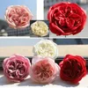 Flores decorativas 16 Pcs 8 cm Artificial Austin Rose Heads Cabeça de Flor Eterna Para Sempre Falso Casamento Presente do Dia dos Namorados