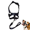 Colliers pour chiens, muselière Anti-morsure, ensemble buccal en maille plastique, masque en cuir, petite couverture appelée, fournitures pour animaux de compagnie