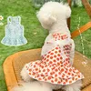 Vêtements pour chiens Vêtements pour animaux de compagnie pour robe d'été Jupe de chat Robes de chiot Poméranie Bichon Caniche Vêtements Maltais Chihuahua Yorkie