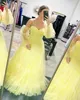 Light Yellow Print Prom Dress 2k24 Bishop Sleeves A-Line Lady Pageant Winter Formal Evening Event Party Gala Golden Globe Award Celebrity Gown Floral Pattern Fuchsia