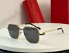 Kare Güneş Gözlüğü Altın/Yeşil Lens Erkek Lüks Güneş Gözlüğü Moda Yaz Sunnies Sonnenbrille UV Koruma Gözlük Kutu