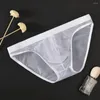 Sous-vêtements sexy pour hommes Sissy Pouch Sous-vêtements Mesh Sheer Ultra Mince Slip Gaine Trunks Lingerie Gay Voir à travers