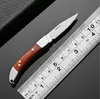 Mini coltello portachiavi Coltello pieghevole in acciaio inossidabile Coltello da frutta per uso domestico Coltello con lama in acciaio portachiavi Coltelli tascabili portatili da esterno con manico in legno