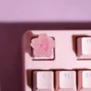 Tangentbord tangentbord för körsbär MX -switchar spel tangentbord tangent cap för mekaniska tangentbord tangentkasser flickor gåva rosa personlig tecknad diy tangent yq240123