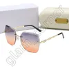 Designer Glasses Sunglasses Brand Full Frame Eyewear Accessories Beach Island Goggle Reality Frames Pilot