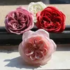 Flores decorativas 16 Pcs 8 cm Artificial Austin Rose Heads Cabeça de Flor Eterna Para Sempre Falso Casamento Presente do Dia dos Namorados