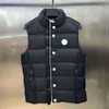 Gilets de créateurs Badge de broderie pour femmes Zipper Stand cou sans manches Puffer Gilet Couple épaissi chaud hommes Gillet veste d'hiver Lulules