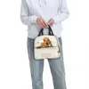 Carrier Cute Dachshund Dog Thermal Isolated Lunch Bag Women Sausage Wiener Badger Dogs Lunch Tote For Kids School Children Food Box