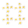 Dekorativa blommor 400st vita skum Hawaiian Frangipani Artificial Plumeria Flower Petals Cap Hair Hat Wreath Diy Wedding Decoration 5cm