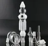 Koncentratrörsvax rigg med titan spetsen Heady Glass Pipe Dabber Tool Glass Bong Accessories Gratis frakt