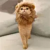 Cat Costumes Lion Mane Cute Wig Hat roliga husdjur Kläder Cap Fancy Dog Costume för Halloween Juldekoration