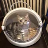 ベビーカー猫キャリアバッグ通気性透明な宇宙飛行士ペット猫子犬キャリーバッグカプセルトラベルダブルドアトラベルバッグペットキャリア