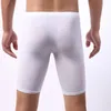 Calzoncillos marca larga hombres boxeador ropa interior pantalones cortos para hombres para hombre boxeadores de seda de hielo sexy bolsa transpirable pantie boy sissy gay