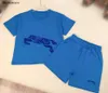 Nya Kids Tracksuits Logo Printing Short Sleeve Suit Size 90-160 Babykläder Multi Color Valfria pojkar T-shirts och shorts Jan20