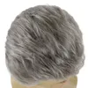 Cosplay peruker gnimegil grå peruk män syntetiska hår korta frisyrer naturliga peruker för man värmebeständig fiber cosplay peruk dräkt halloween wigl240124