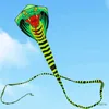 Kite Accessoires gratis verzending snake kite cobra vliegeren lijn outdoor speelgoed voor volwassen vliegers vogel vliegers adelaar vlieger dier wei kite fabriek koi