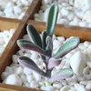 Dekoratif Çiçekler 6 PCS Yapay Succulents Açık ve kapalı dekor için bitkiler bitkiler