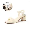 Sandals Women's 2024 Summer Casual Square Head Low Heel With One Line Buckle Comfortable Shoes