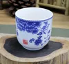 Teegeschirr-Sets, blaues und weißes Porzellan-Teeset, enthalten 1 Kanne und 6 Tassen. Hochwertiges, elegantes, schönes, einfaches Teekannen- und Wasserkocher-Teeset