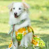 Leashes Big Dog Clothing Summer Large Dog Dress Harness Skirt Corgi Bull Terrier Clothes Samoyed Husky Labrador Golden Retriever Costume