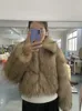 RR2887 Vintage Short Faux Fur Bomber Jackets For Women Zipper Closure Fake Fox Fur Winter Coats Women Faux Raccoon Fur Jacket 240122