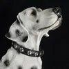 Collari Cina prodotti per animali domestici COLLARE PER CANE A LED VENDITE CALDE NEL 2023 collare per cani a led