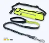Leashes Hands Free Dog Running Leash with Waist Pocket Adjustable Belt Shock Absorbing Bungee Fits Up To 45 Inch Waist Pet Dog Chain