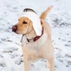 Abbigliamento per cani Berretto da neve invernale super morbido per animali domestici Copricapo antivento Mantieni caldo il cappello da esterno con accessori per la copertura delle orecchie