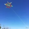 Kite Accessories New Arrive New Style 3D Flower Kite With Handle Line Good Flying