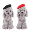 Vêtements de chien Chapeau décoratif pour animaux de compagnie 1pc couleur unie béret casquettes mini peintre casquette de laine hiver chaud chiens chats chapeaux mode chiot po accessoires