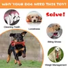Zabawki Benepaw Dog do żucia zabawki dla agresywnych żuć gumowych wołowiny smak piesowych kość Pies