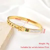 Bangle Stainless Steel Clasp Design Zircon Jewelry Chain Romance For Women Red Green Bracelet Engagement Anniversary Gift