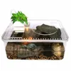 Tanks HONGYI 1 Stück Kunststoff transparent Insekten Reptilien Zucht Futterkasten große Kapazität Aquarium Lebensraum Wanne Schildkröte Tank Plattform