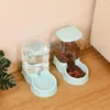 Feeders 3.8L Cat Automatic Feeding Bowls Water Dispenser Cat Feeder Set Big Capacity Pet Cat Supplies Food Grade PP Material