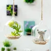 معلق Terrarium Globe حامل Tealight Globes Air Led Led Vase Tillandsia النضرة زارع terrariums حاوية هودر