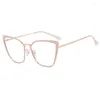 Solglasögon Metal Cat Eye Eyeglasses Frame 2024 Women Anti Blue Light Glasses Optical Spectacle