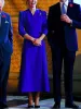 Kate Middleton Princess Windbreaker الخريف الجديد عالي الجودة الموضة الأزرق الحزب الفاخر في مكان العمل الأنيق مثير v-neck معطف midi