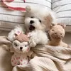 Jouets Nouveau chien jouet lapin écureuil dormir accompagnant mignon jouet pour animaux de compagnie jouet sonore pour chien brosse à dents chat en peluche chiens animaux accessoires