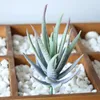 Dekoratif Çiçekler 6 PCS Yapay Succulents Açık ve kapalı dekor için bitkiler bitkiler