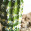 Flores decorativas simulação pera espinhosa suculentas cactus plantas verdes falso diy decoração de casa deserto paisagem artificial