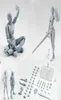 20 MaschioFemmina Corpo Kun Doll PVC BodyChan DX Azione Gioca Art Figure Modello Disegno per SHF Figurine Miniature Grigio Set Toy 20125251835