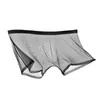 Underpants Men Short Mesh Transparent Panties 4XL Ice Silk Ultra Thin Sexy Briefs Solid Colors 2024 Boxer Shorts Mens