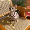Kostiumy kota odzież dla zwierząt jesień i zimowy pluszowy rok kwiecisty sukienka misie kamizelka trakcyjna psa