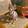 Costumes de chat vêtements pour animaux de compagnie automne et hiver en peluche robe florale année ours en peluche chien gilet de Traction