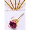 wholesale Qixi Valentine's Day Gift Single gold foil gold-plated rose welfare gift batamiu