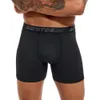 5st Pack 2023 män trosor polyester underkläder manlig varumärke boxare och underbyxor för homme mycket lyx set sexig shorts gåva slip 240118