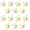 Fiori decorativi 24 pezzi Accessori per acconciature Spille Fermagli per capelli Plumeria sottile per donna Fiore Miss